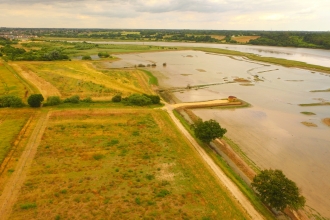 Conservation in our Landscape