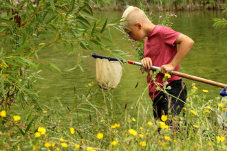 pond dipping