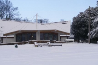 Bedfords in the snow