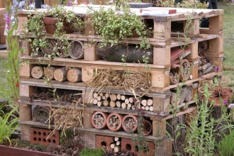 Grounds Development Bug hotels
