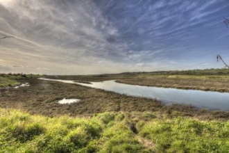 Two Tree Island in Leigh-on-Sea by Dave Gordon