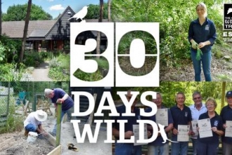 Day 1 30 Days Wild