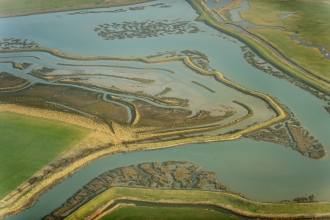 Remnant saltmarsh and coastal realignment at Abbotts Hall Farm