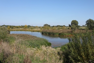Ingrebourne Valley marshes