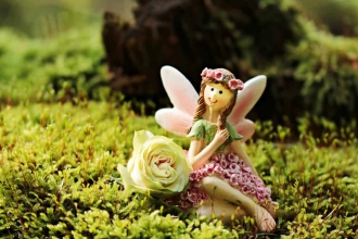 Fairy