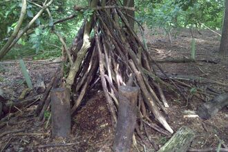 Hanningfield Forest Fun