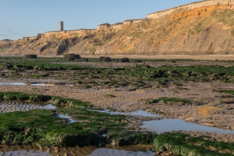 Naze Beach Litter Pick