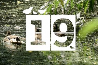 Day 19 | The Wind in the Willows Trail