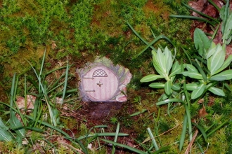 Fairy door
