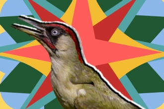 Species in the spotlight
