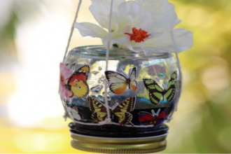 Butterfly Feeders