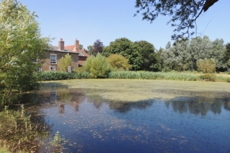 Abbotts Hall Farm Pond