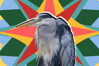 SITS Heron