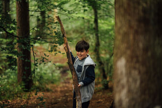Den Building
