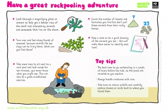 Rockpooling adventure