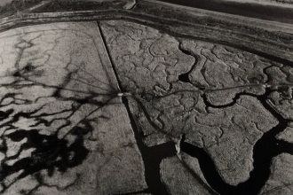 Aerial Photo of Essex Salt marsh by Rachel Spender