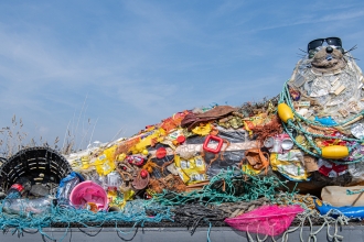 Poly the seal sculpture
