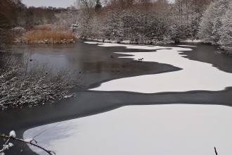 snowy lake
