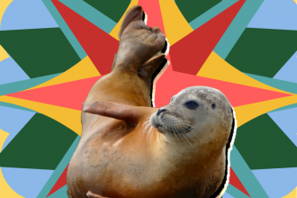 SITS - Seal