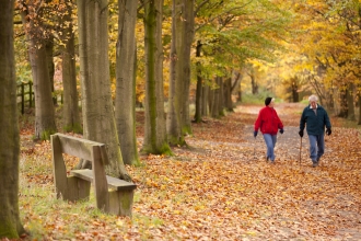 Autumn Walk