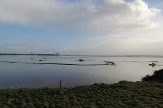 Thurrock Thameside Nature Park