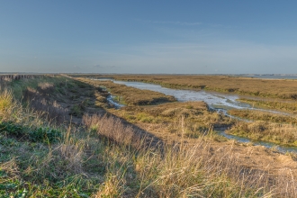 Naze Channel