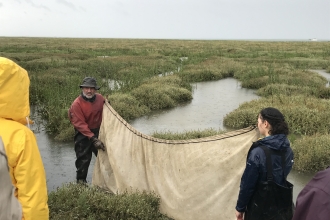 NTFLAG fish survey 