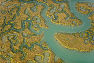 Saltmarsh from the air, Abbotts Hall Farm, Essex