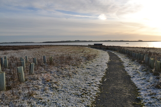 Winter at Abberton 