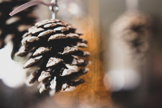 Pine cones decorations