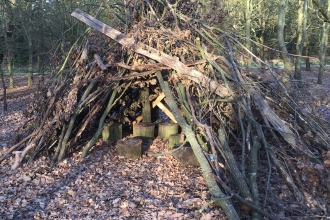 den in woodland