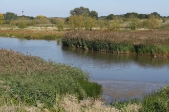 Ingrebourne