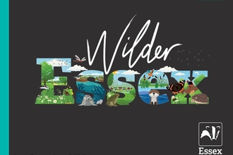 Wilder Essex