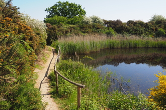 kits pond fingringhoe