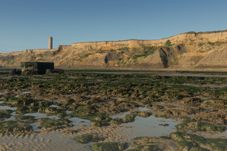 Naze Geology and Fossils