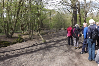 group of adults walking by prittle brook