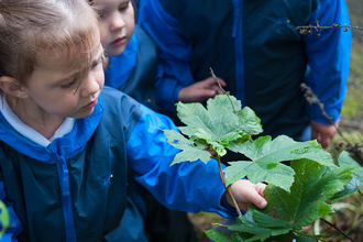 Children in nature 