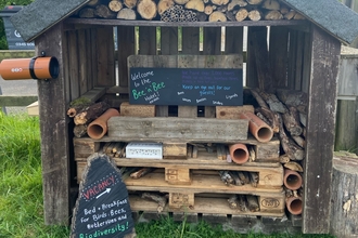 bug hotel