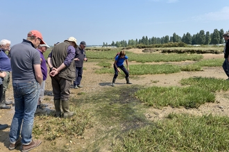 seagrass surveys