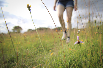 A woman walking through wildflowers.