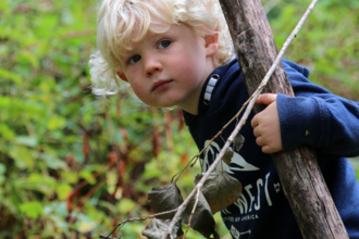 hanningfield nature tots