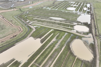 Blue House Farm aerial