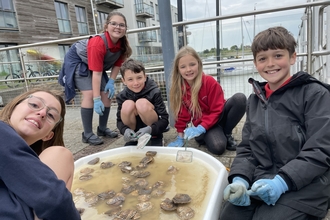 Primary school children take part in oyster restoration.jpeg
