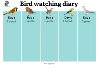 Bird watching diary