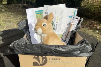 Adopt a Species - Hare gift box