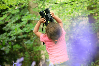 Child in bluebell wood - Photo: Tom Marshall