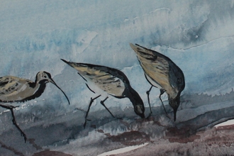Watercolour of 3 curlews, in blue tones