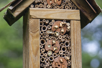 Insect hotel filled with hollow bamboo of various sizes