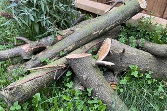 Log pile in garden