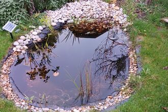 Restored pond by Maldon OWLS